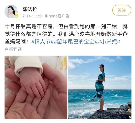 Chen Fala gave birth to a daughter! Throwing away the rich ex-husband ...