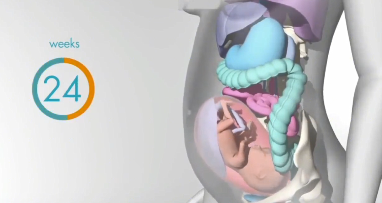 In October, where did the fetus squeeze the mother's internal organs ...