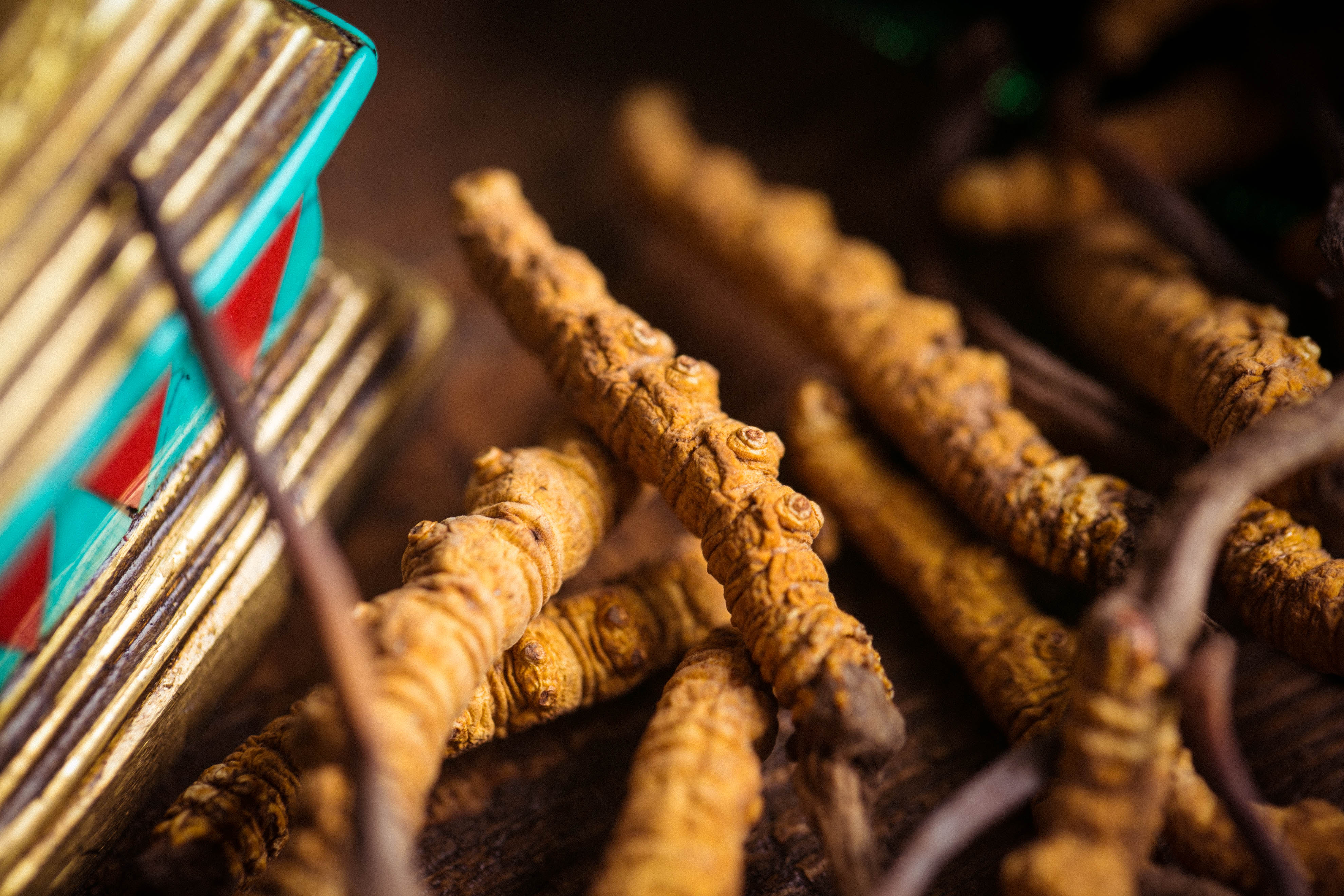 Cordyceps has high value, how to eat it best?This article teaches you