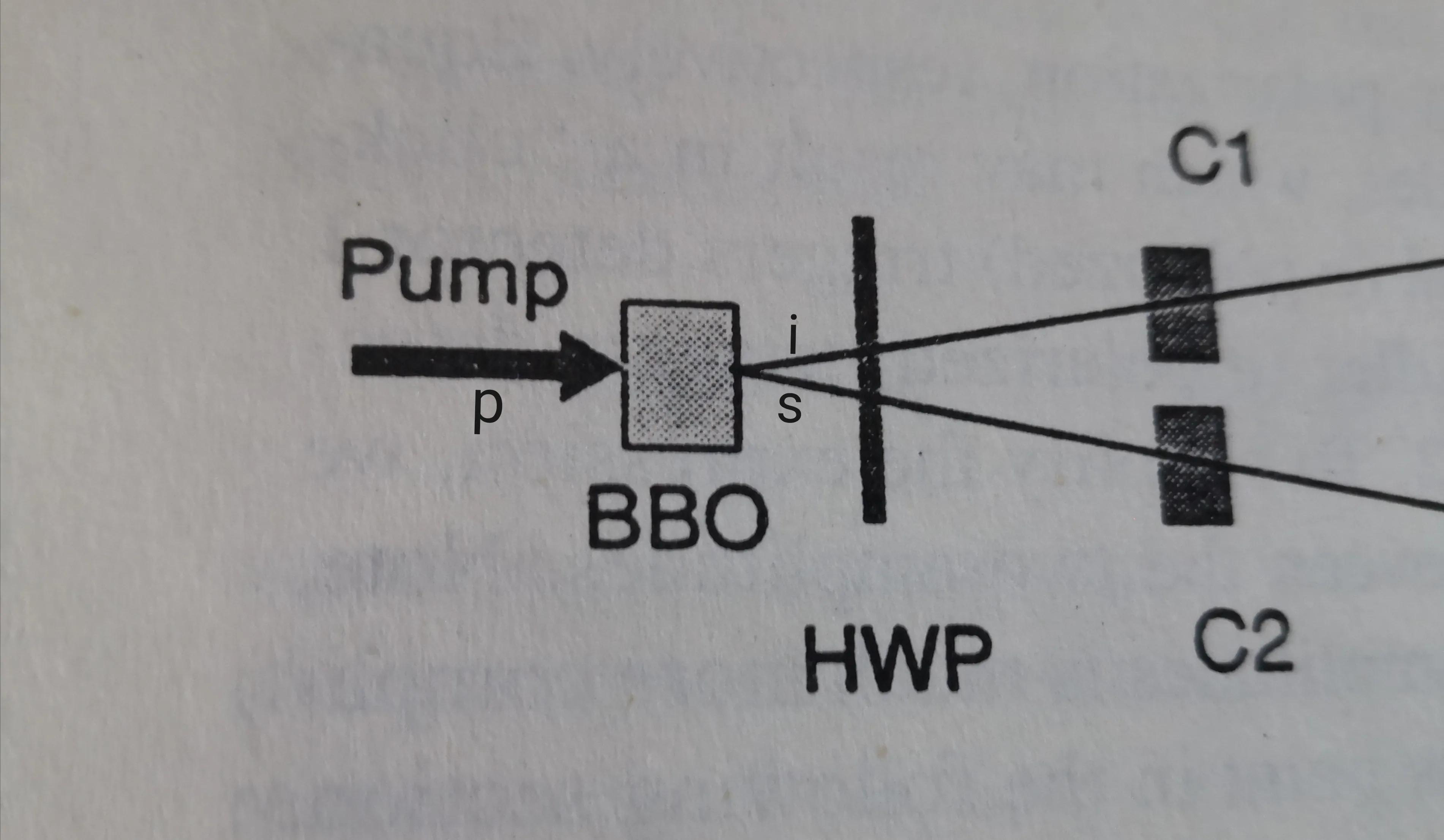 How to produce entangled photons and single photons in the laboratory
