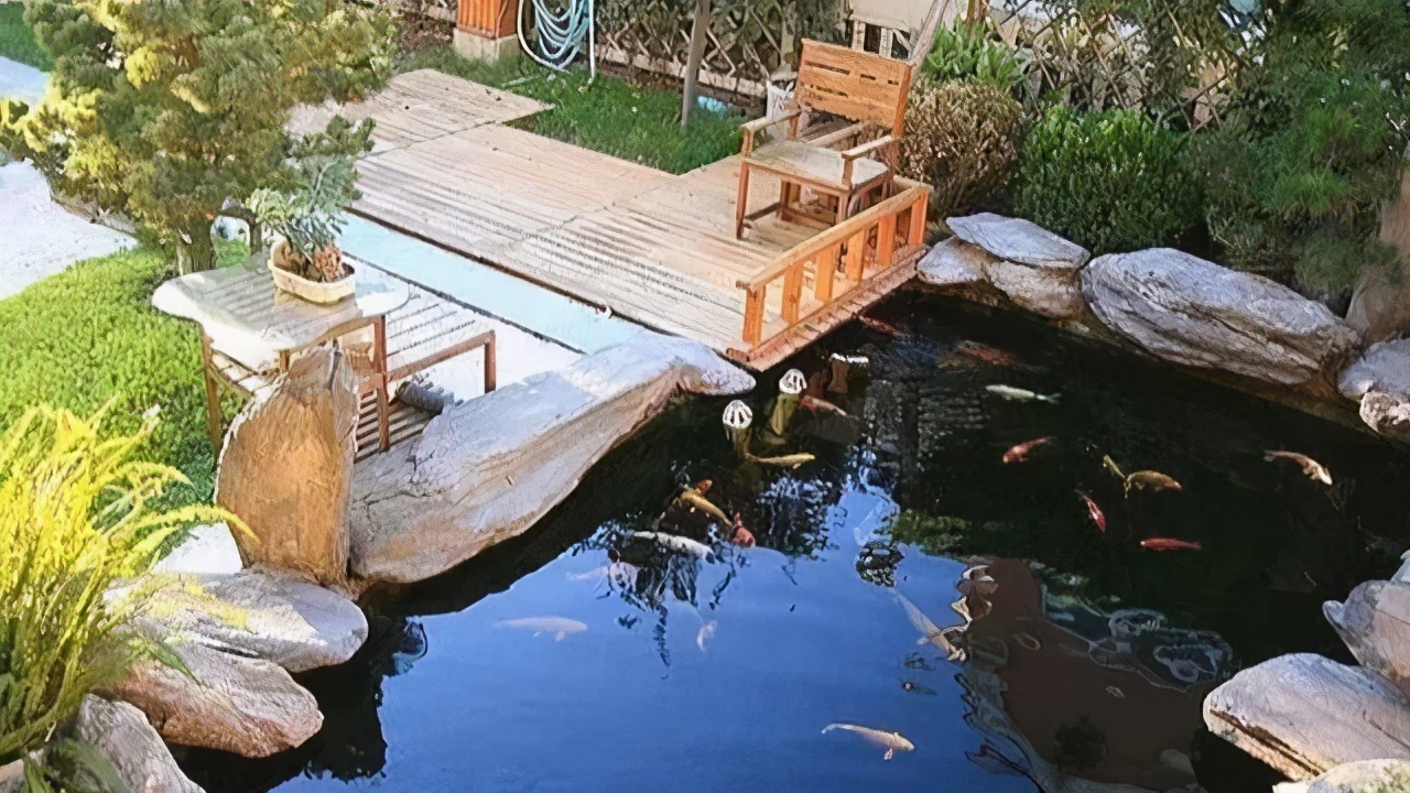 What is the cost budget for the Koi Fish Pond? iNEWS