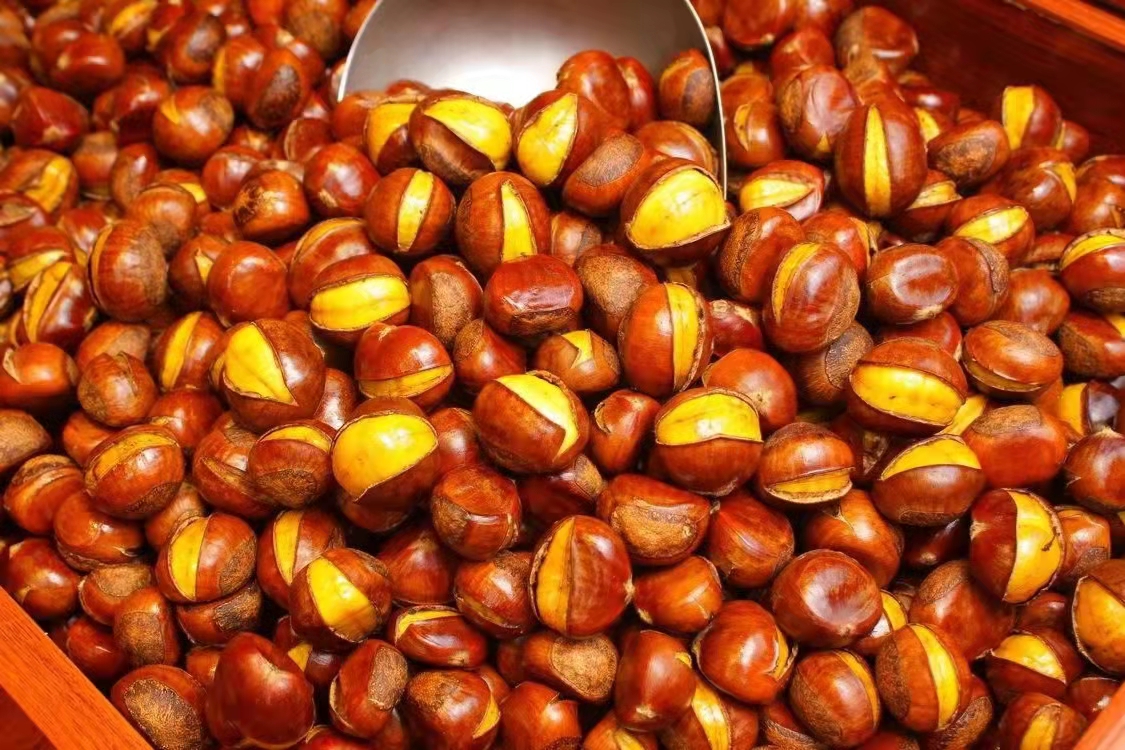 Buy chestnuts, round or flat?Fruit grower Remember "3 buys 3 don't buy