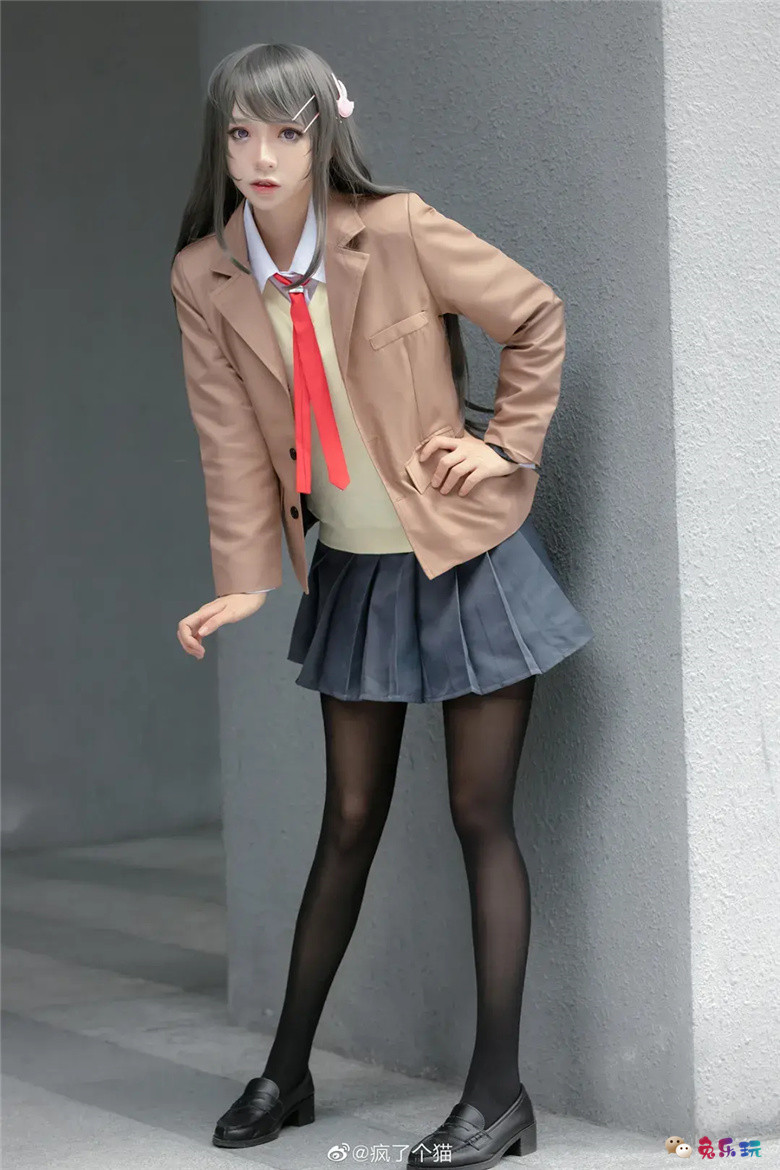 疯了个猫丨《青春猪头少年系列》樱岛麻衣