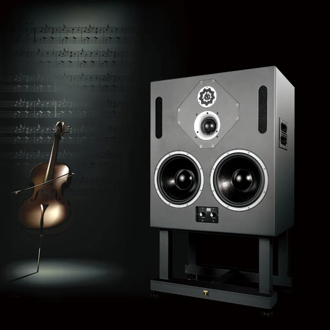 Sound of Beauty Pro 220 Acoustic Monitor Speaker iNEWS