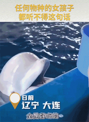 搞笑GIF图片：事实证明，适当的摩擦才能更快的进入状态