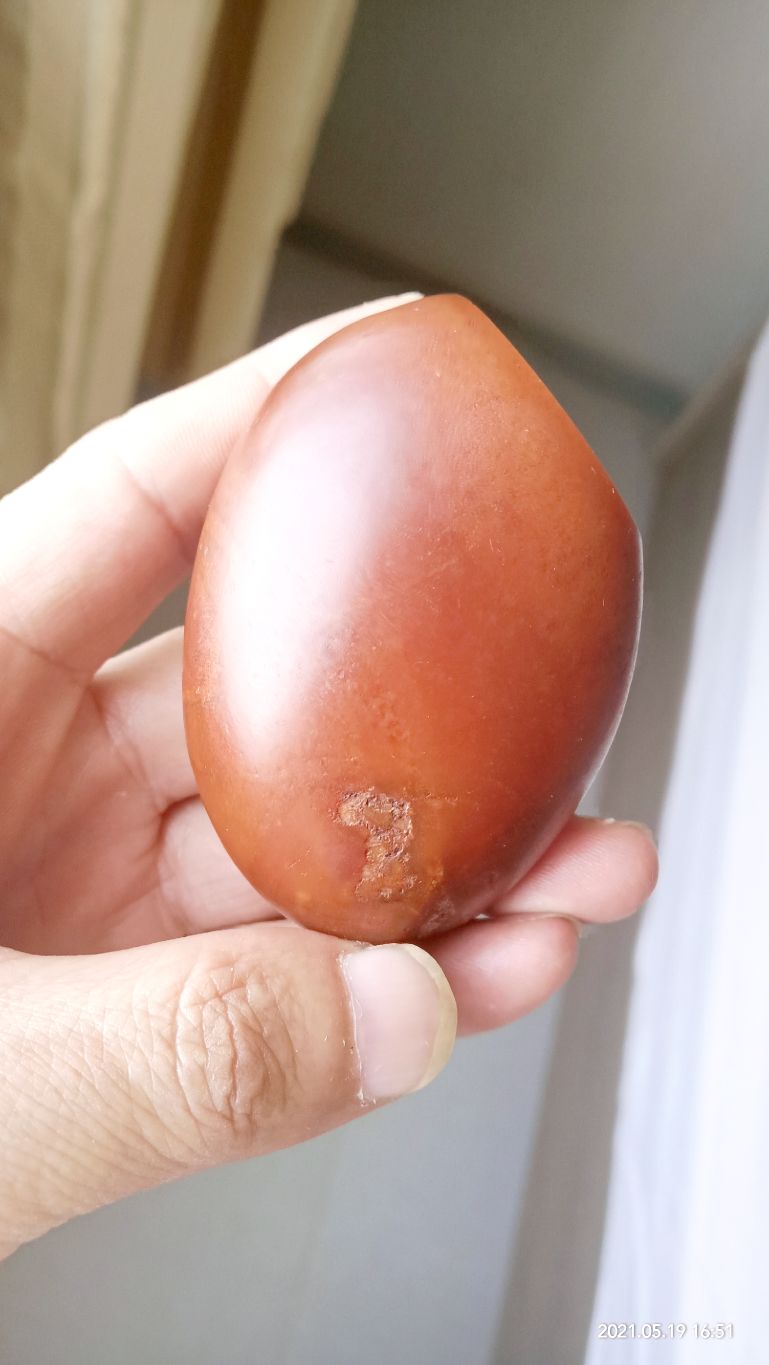 Hetian Seed Material iNEWS