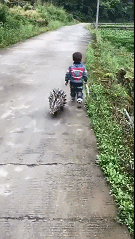 爆笑动图：血与泪的教训，内裤一定要勤洗！