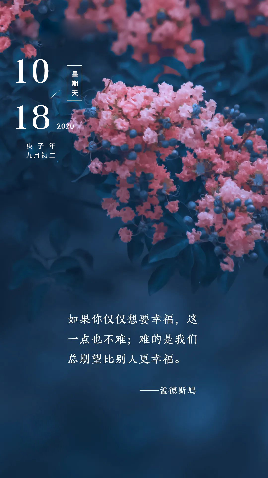 周末阳光励志早晨祝福说说日签图片：愿芳华永存，一路芬芳