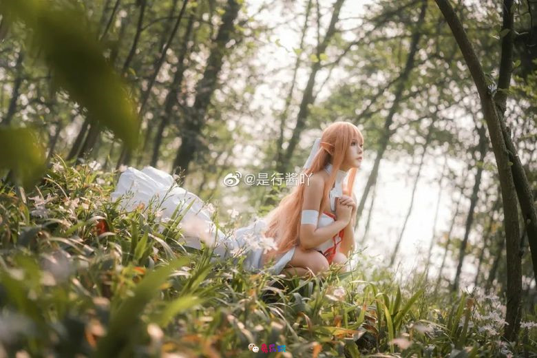 是行酱吖丨《刀剑神域》亚丝娜