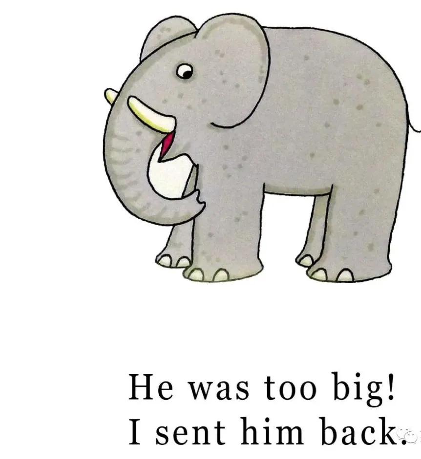 销量200万册的英语绘本故事野生动物园dear zoo音频 pdf 点读包 拓展