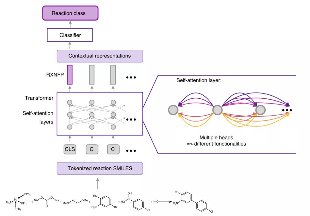 "Automatic synthesis" IBM's automated synthesis laboratory (part 1) iNEWS