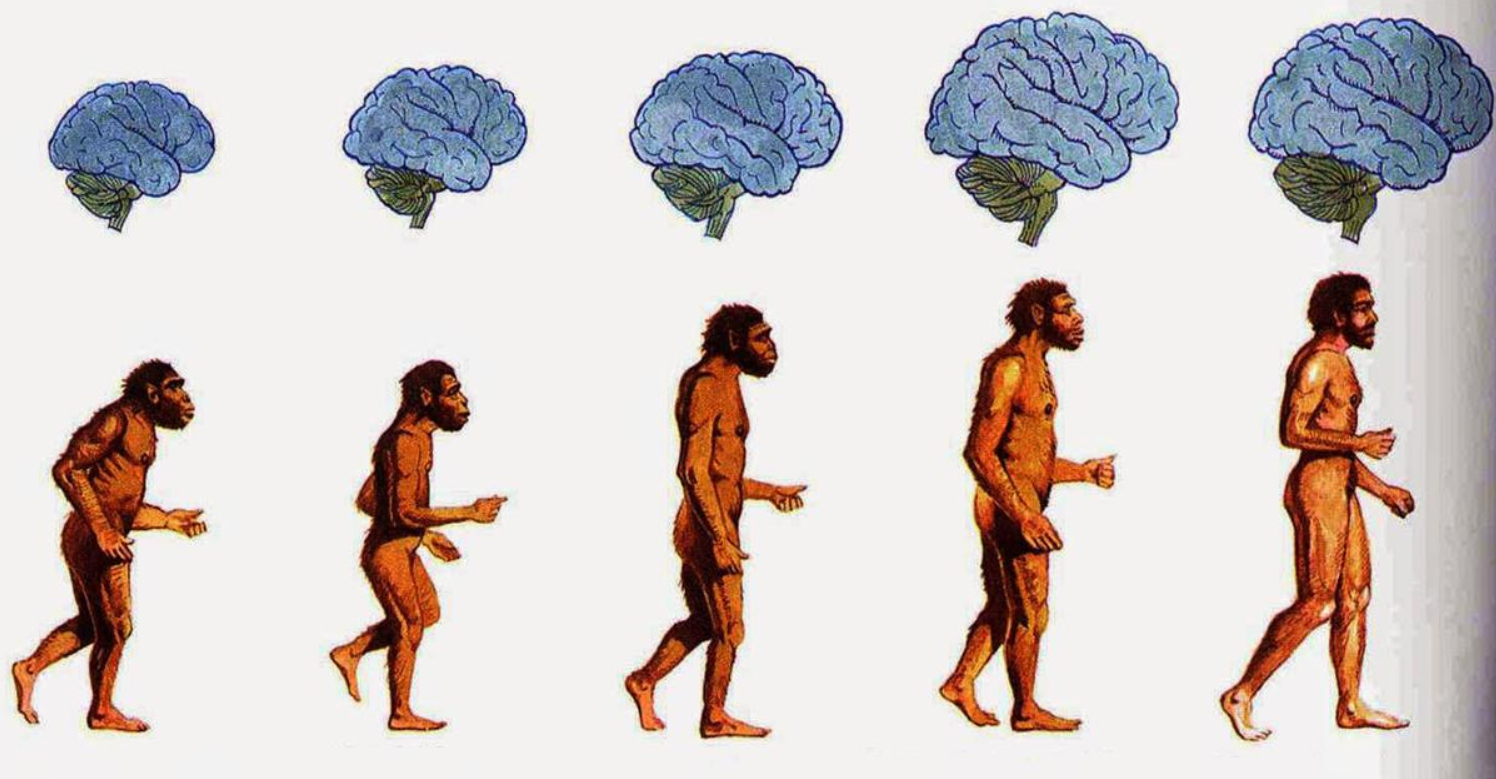 How did the first person on earth appear, and how did humans reproduce ...