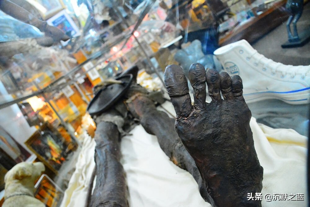 Giant mummy found in Patagonia, Argentina - iNEWS