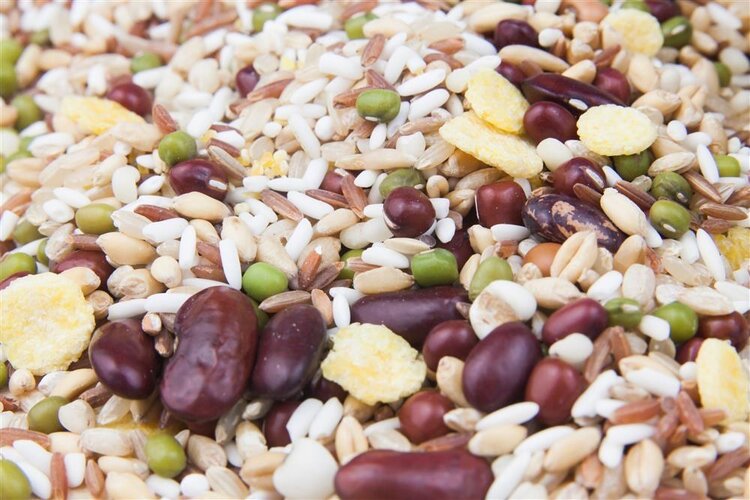 Rice, steamed buns or noodles, which one is more likely to raise blood