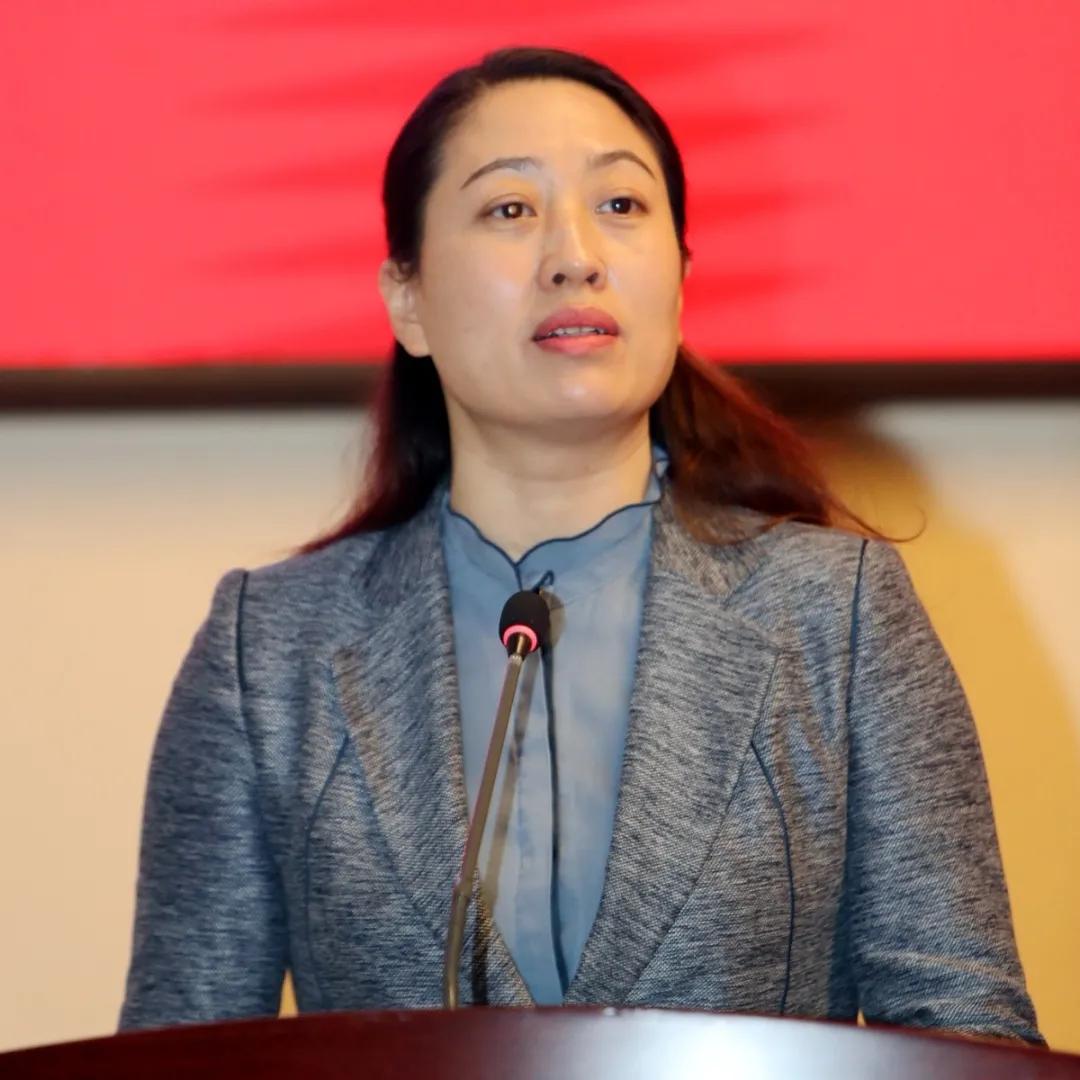 杨淼代表省民建民建陕西省委员会常委,省民建妇女与科教委员会主任