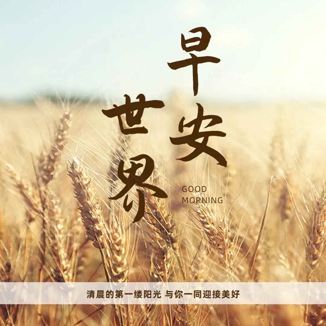 新一周适合发朋友圈的早安说说图片日签，超级激励