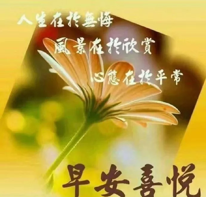 早晨好简单一句话的祝福语，早晨好问候表情图片