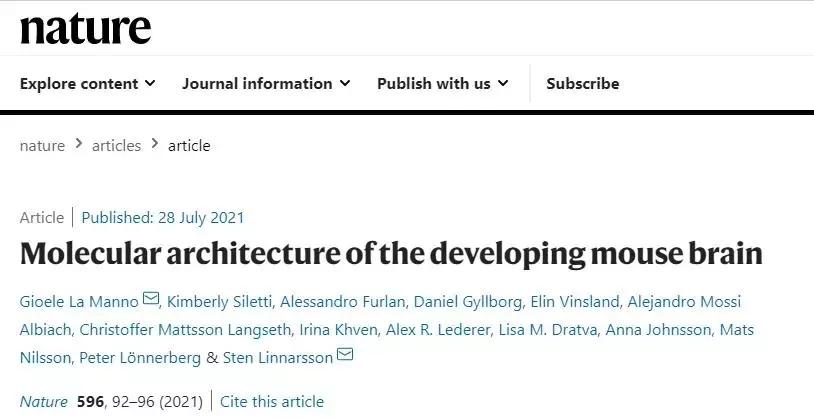 A map of the molecular structure of the developing mouse brain - iNEWS