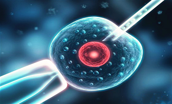 What Does It Mean To Downgrade In IVF Surgery How To Downgrade To Be Considered Successful INEWS