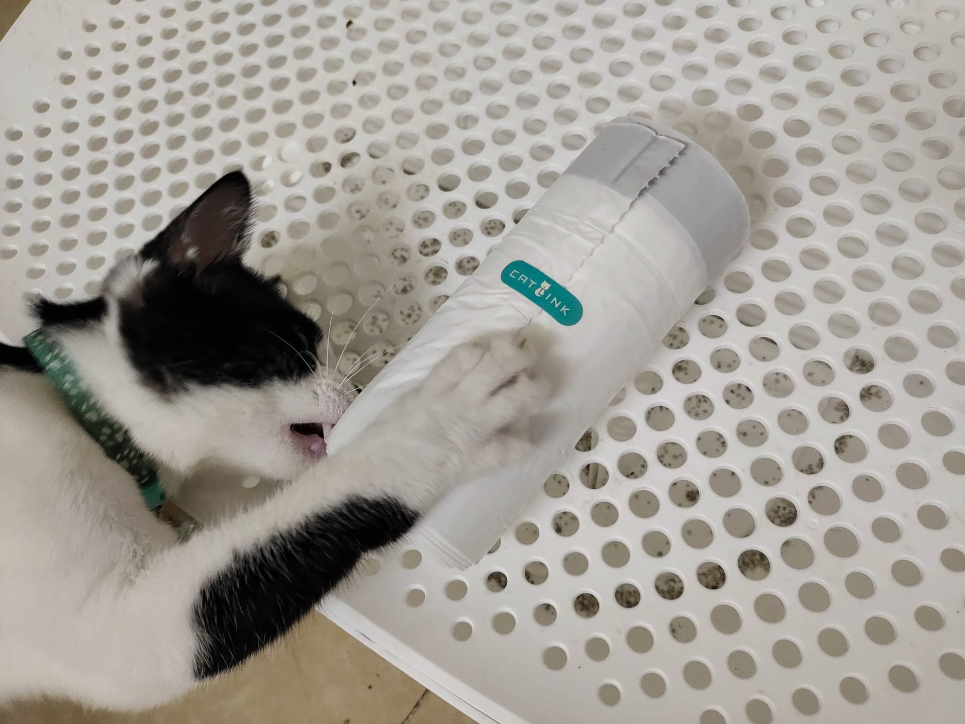 Found a good thing for littering cats, CATLINK smart litter box, free