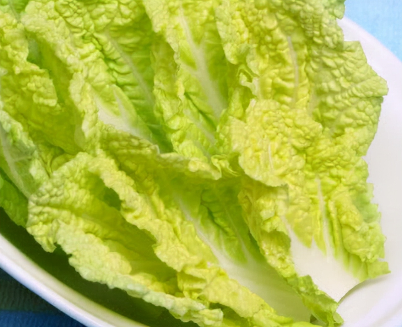 Cabbage is the "fat" of thyroid nodules?If you want to dissipate the