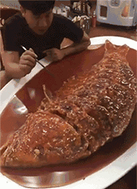 搞笑动态图：这几个人不归牛顿管，归牛顿的弟弟牛逼管