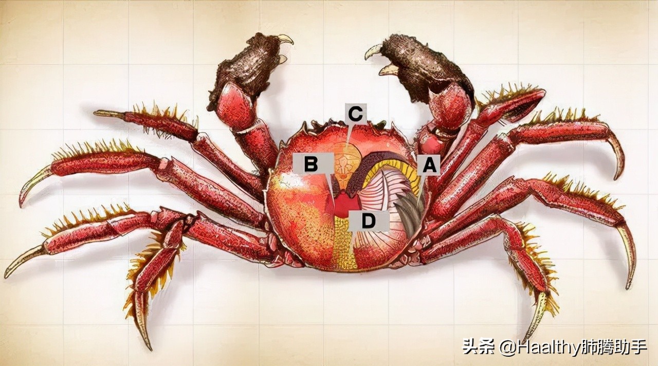 What do lung cancer patients need to pay attention to if they want to