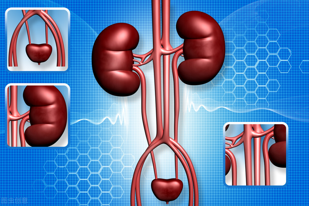 What is the research progress of implantable artificial kidney? iNEWS