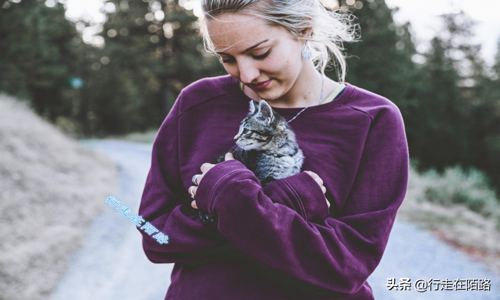Dutch Cat Boat A private attraction founded by a widow, the