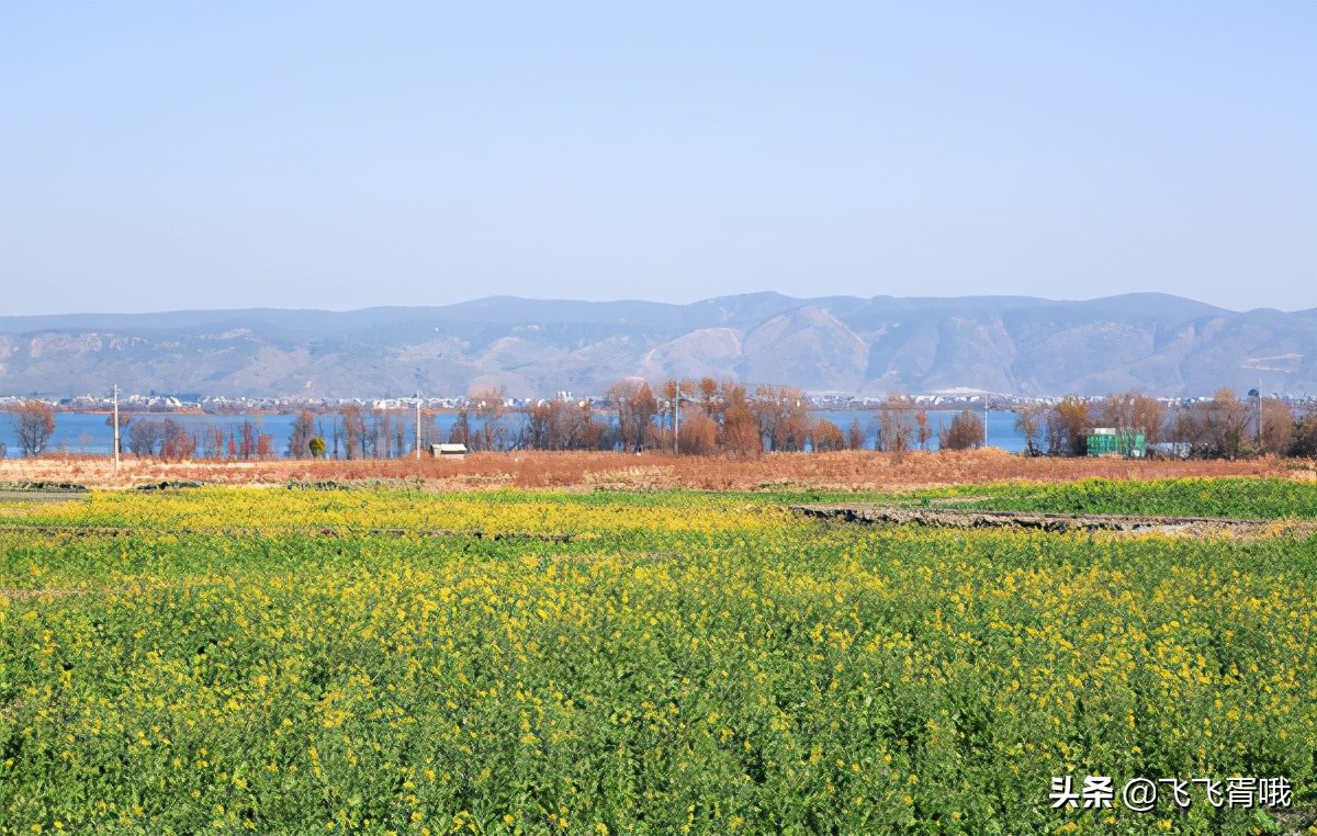 Provinces with the best climate in China spring all year round