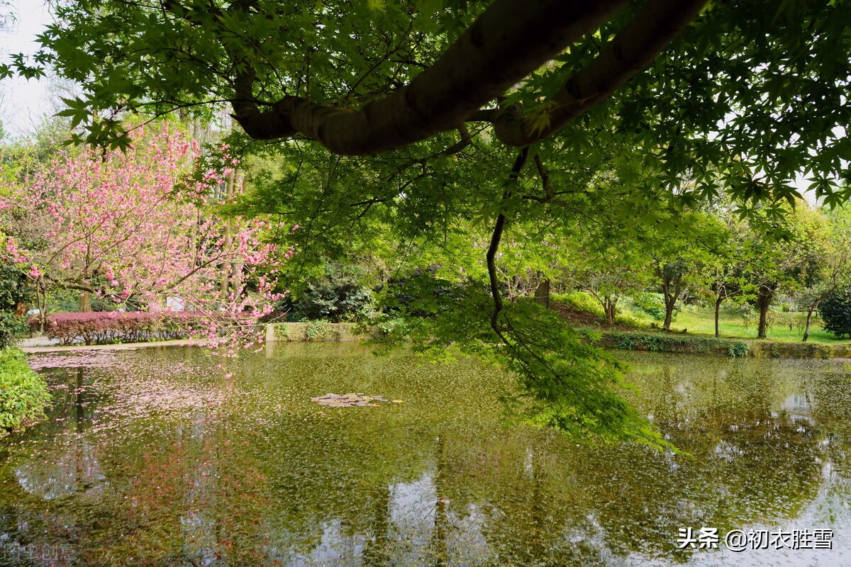 9 Beautiful Sentences in Late Spring, Qingming March Festival, April ...