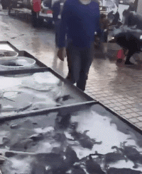 搞笑动图图片：美女秒变大叔！
