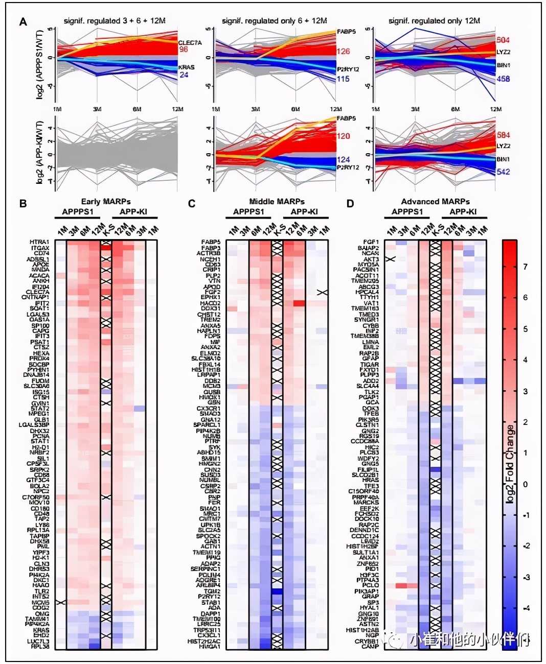 Proteome changes and dysfunction of AD mouse microglia induced by Aβ ...