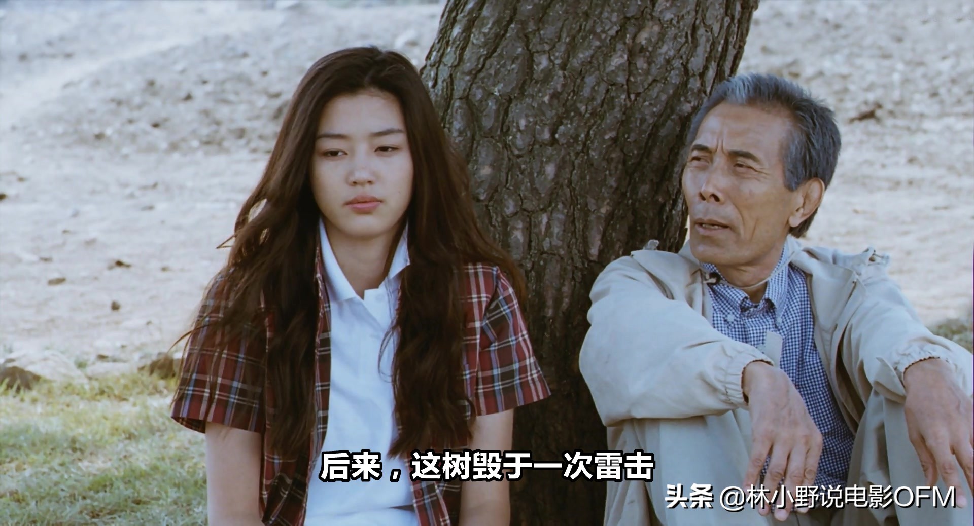 This old oak tree was struck by lightning! "Shawshank's Redemption