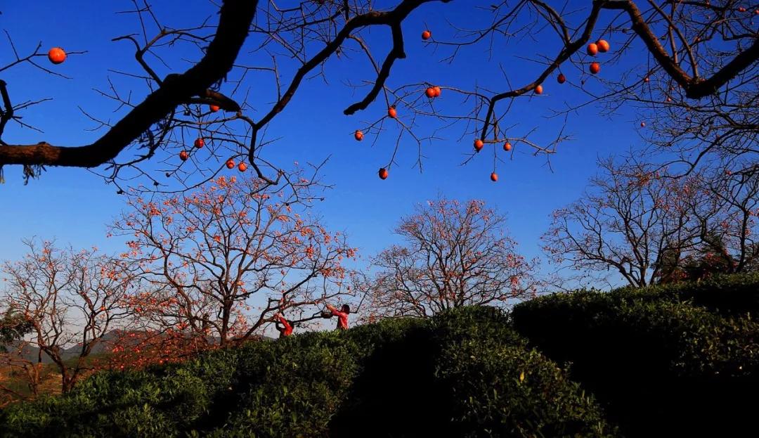 The location of "Changjin Lake" is exposed!Some people say that this