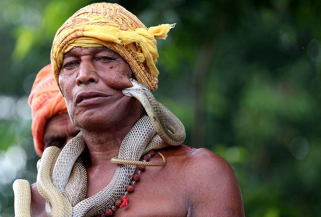 A Woman In India Was Bitten By A Venomous Snake While Sleeping And Died ...