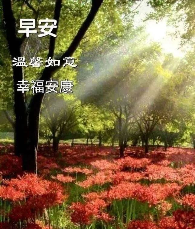 秋天早上好图片表情问候语句子