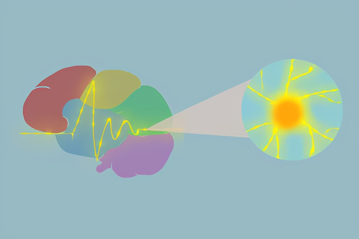 What is the difference between washing my hair in the morning and