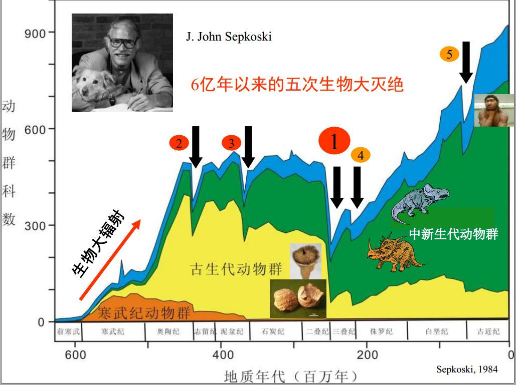 The sixth mass extinction is coming!38,000 species are facing ...