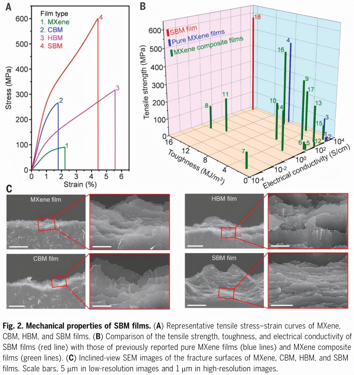 High-strength Stretchable MXene Film Induced To Be Densified By ...