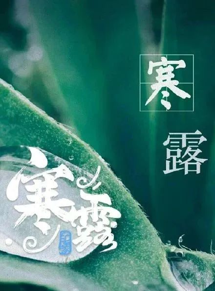 寒露早上好表情图片，寒露时节天冷加衣服问候语句