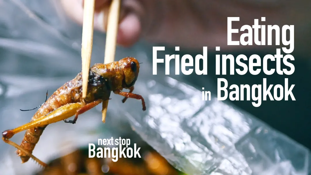 Thai night market insect feast with heavy flavors, see how many you can ...