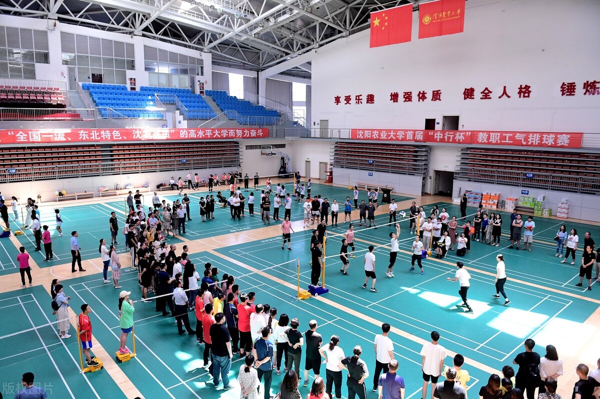 The Evolution of Balloon Volleyball Competition Rules and Its Influence on Techniques and