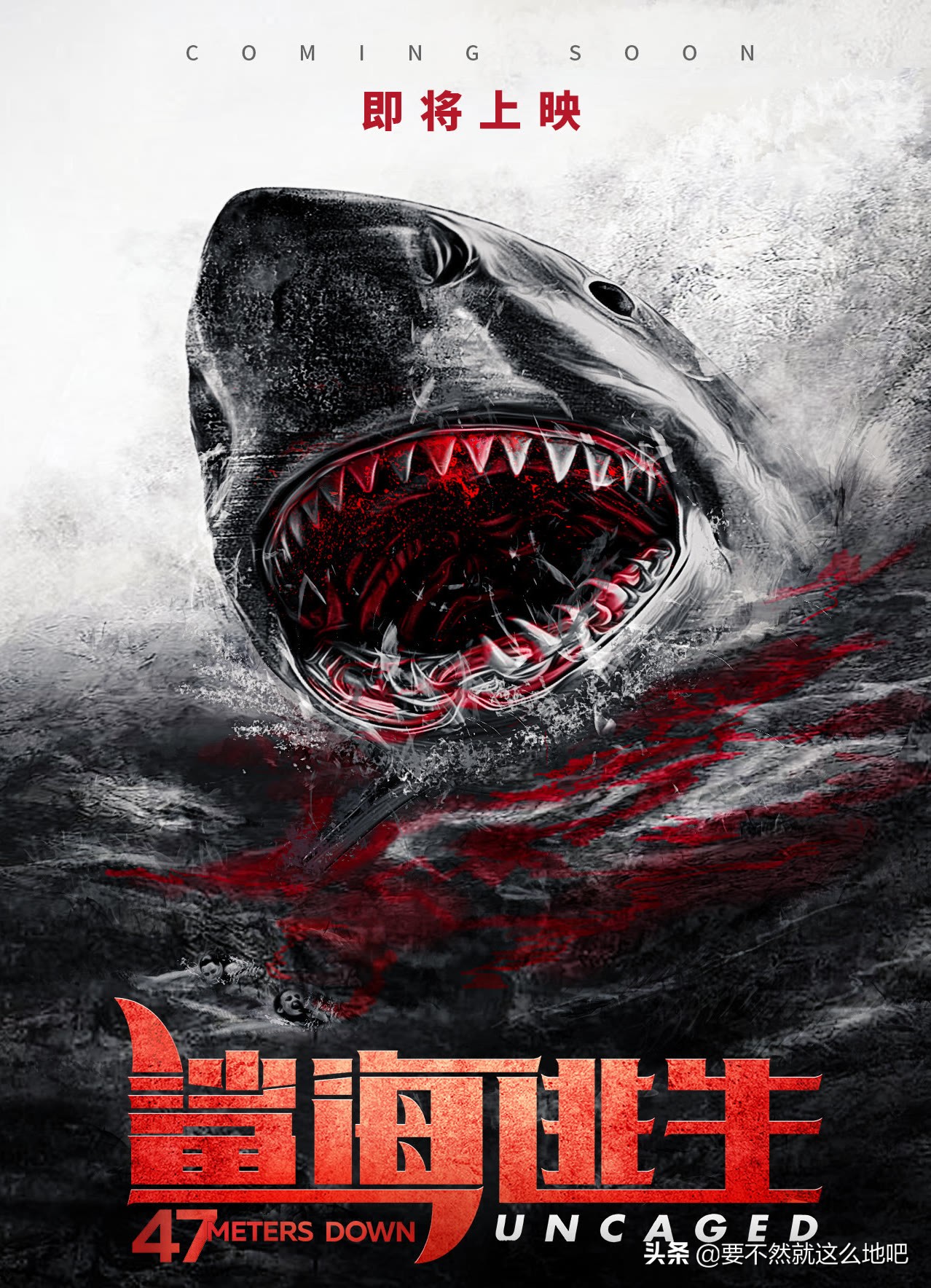 The Emotional Toll Of The Sharkbae Leaks - 06jo6o5