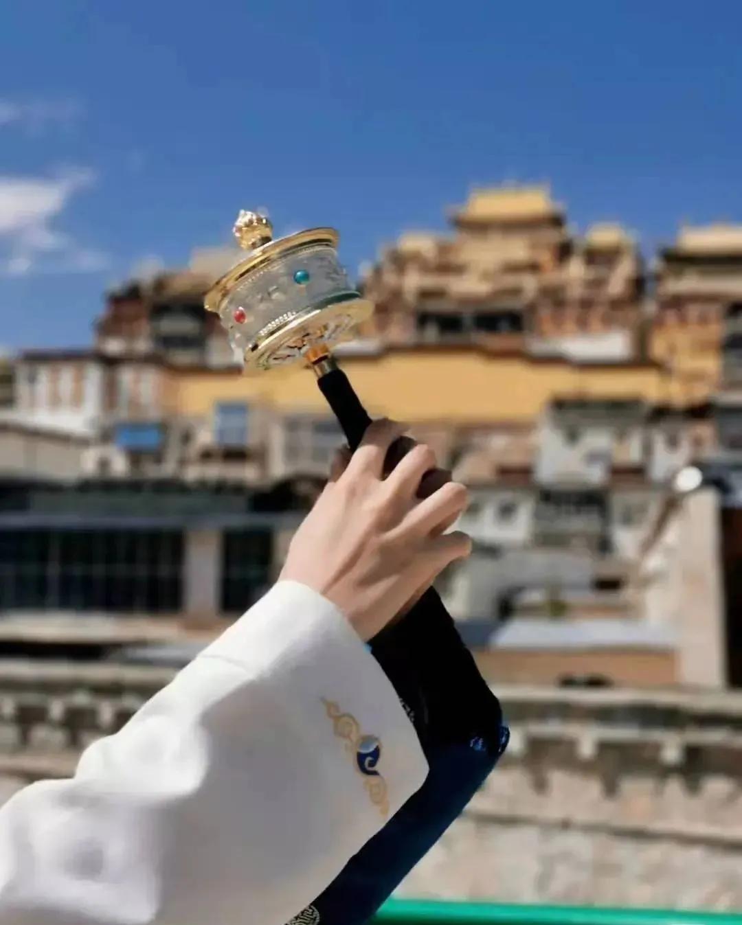 Which is better, Chinese matsutake or Japanese matsutake? iNEWS