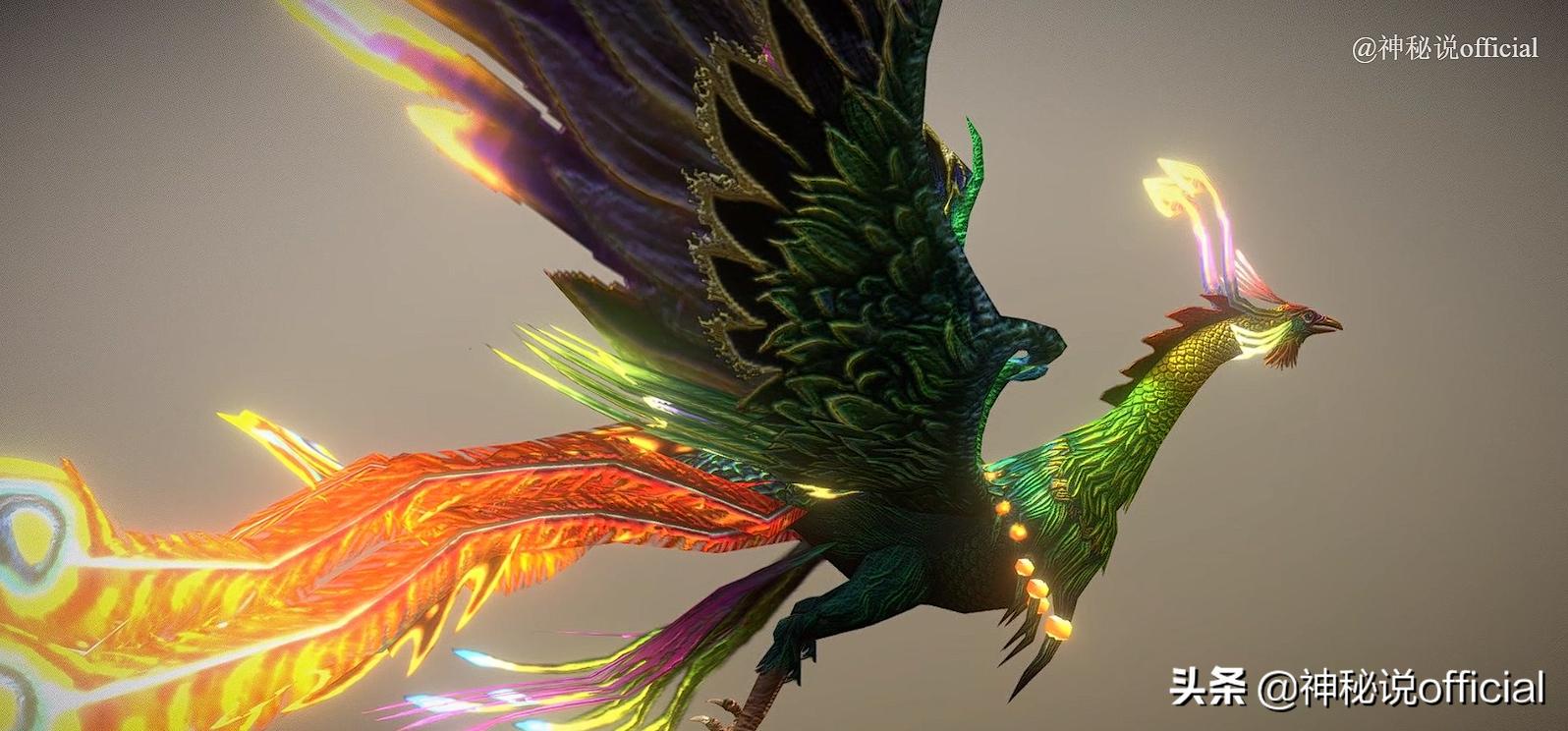 The "black phoenix" was photographed in the northeast, with a huge body