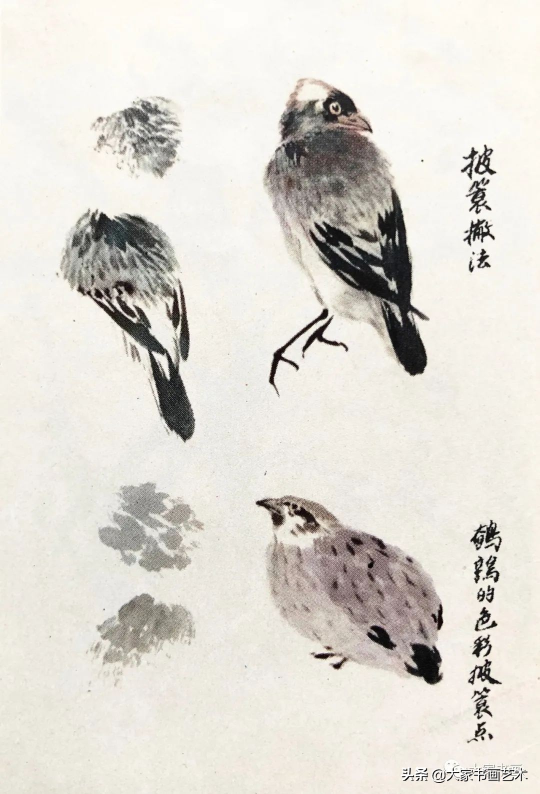 Lot De 4 Livres D'instruction De Peinture Sur Porcelaine - Études D'oiseaux - Orient