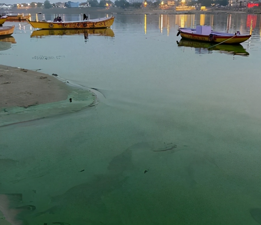 The Ganges water turned green, experts issued urgent warnings, and