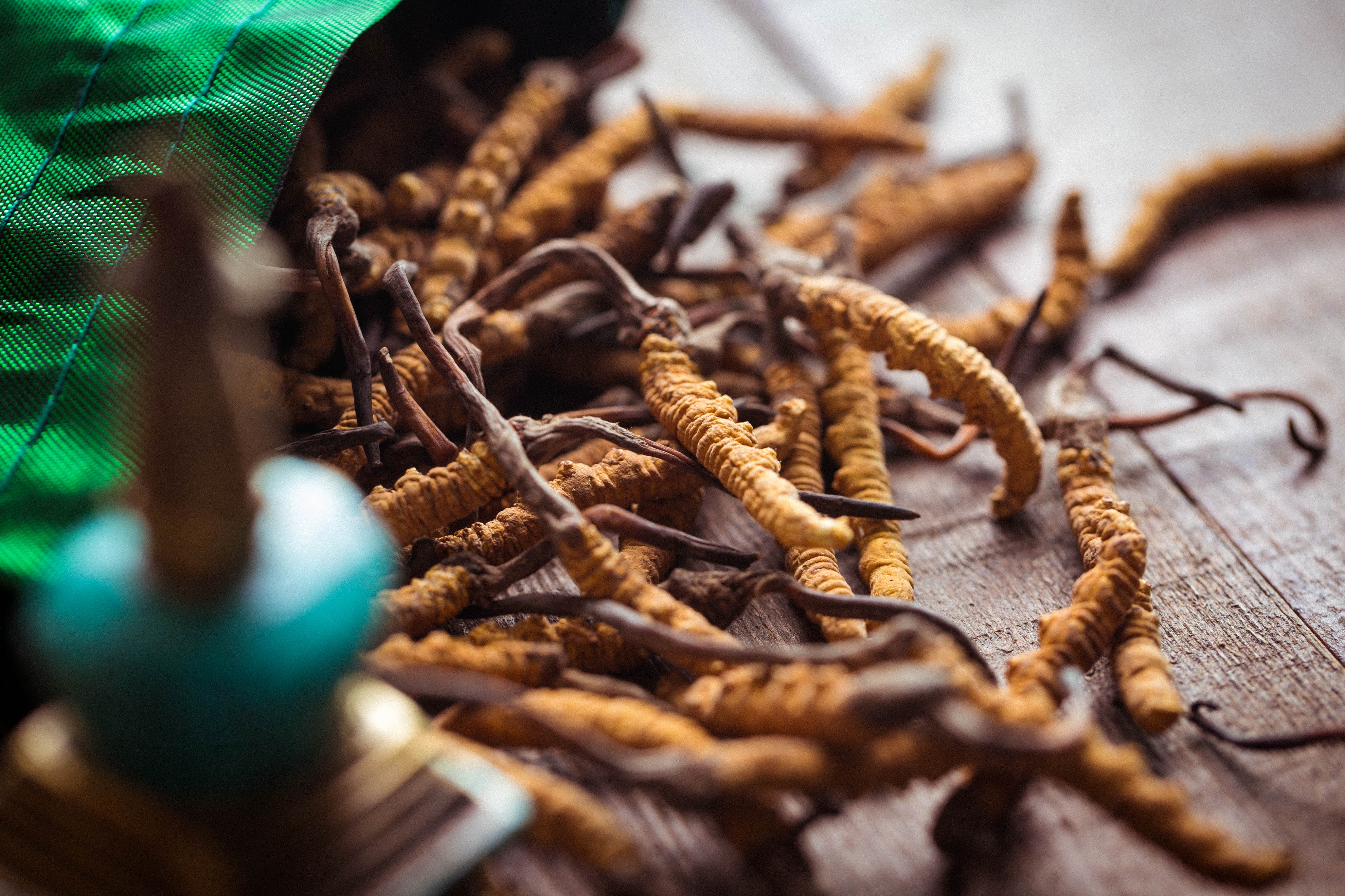 Cordyceps has high value, how to eat it best?This article teaches you