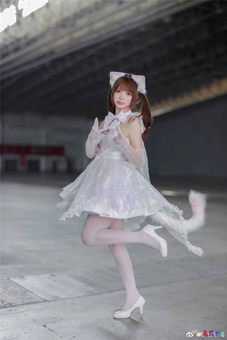 钉宫草莓丨小猫咪